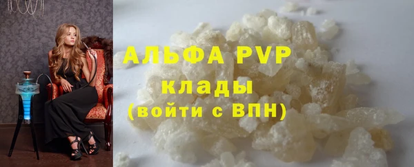 ПСИЛОЦИБИНОВЫЕ ГРИБЫ Новозыбков