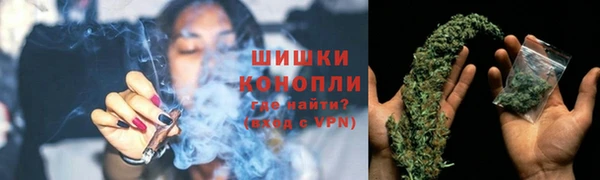ешки Новодвинск
