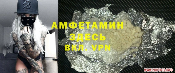ПСИЛОЦИБИНОВЫЕ ГРИБЫ Новозыбков