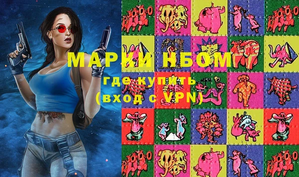 ПСИЛОЦИБИНОВЫЕ ГРИБЫ Новозыбков