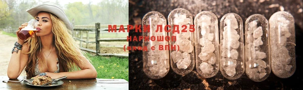 ГАЛЛЮЦИНОГЕННЫЕ ГРИБЫ Новокубанск