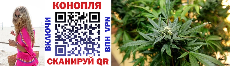Бошки марихуана THC 21%  МЕГА онион  Невельск 